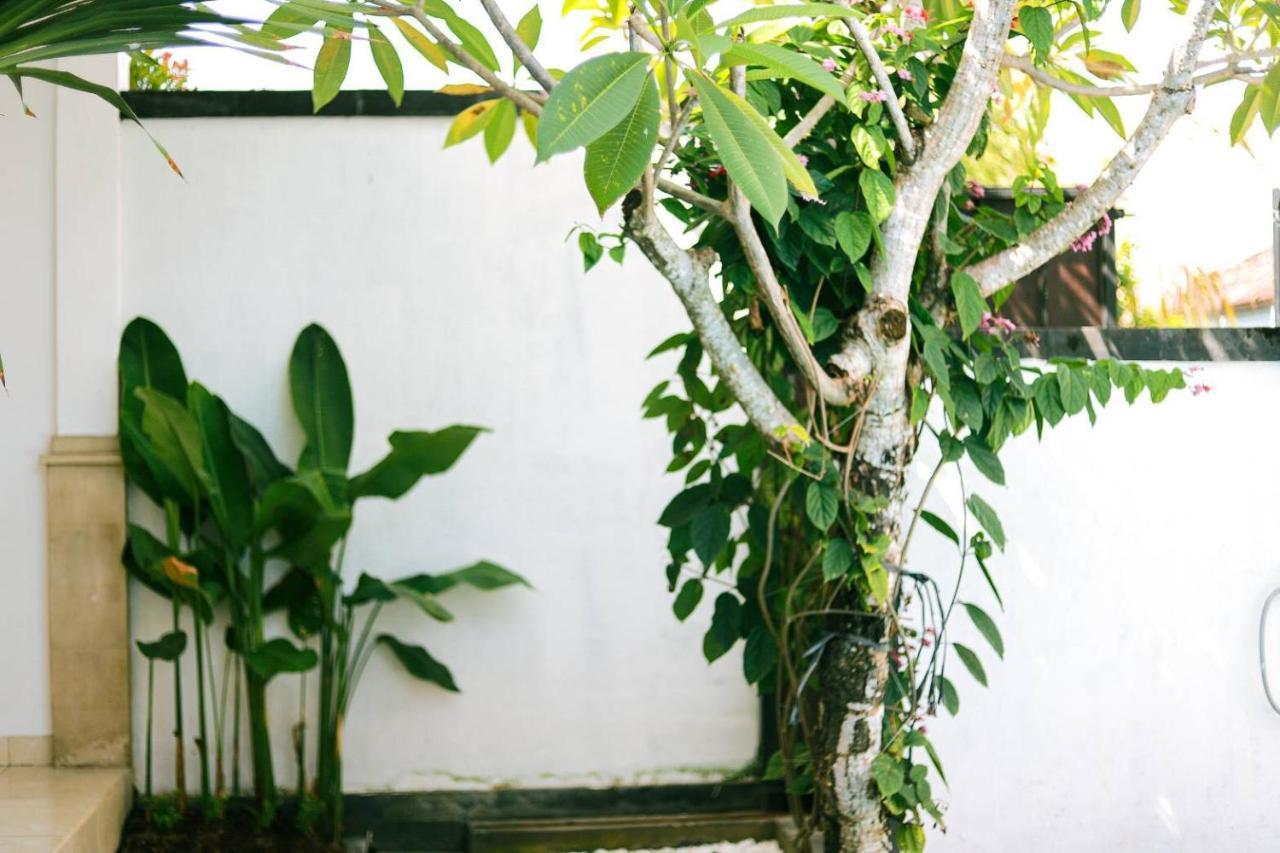 Adi Guest House Canggu Exteriör bild