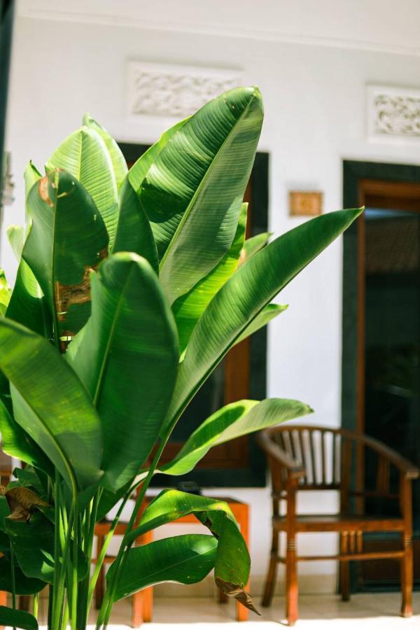 Adi Guest House Canggu Exteriör bild